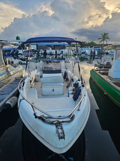 Bateaux &agrave; moteur P&ecirc;che-promenade 2010 occasion Guadeloupe 97139