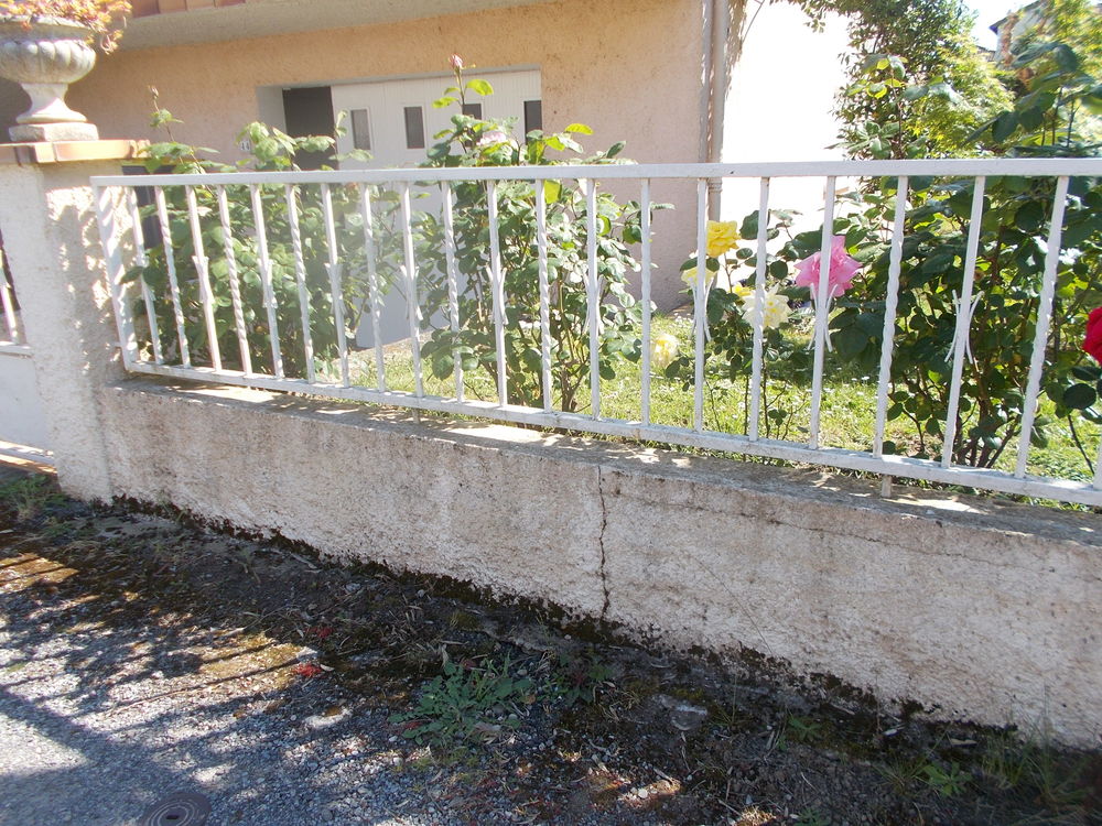 portail fer forg&eacute; blanc Jardin