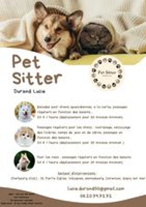   Pet Sitter / Garde d'animaux  domicile  