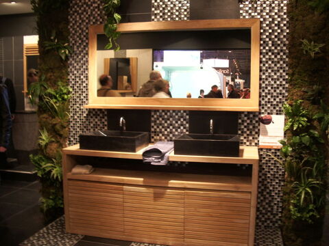 miroir de salle de bain 50 Boissy-sans-Avoir (78)