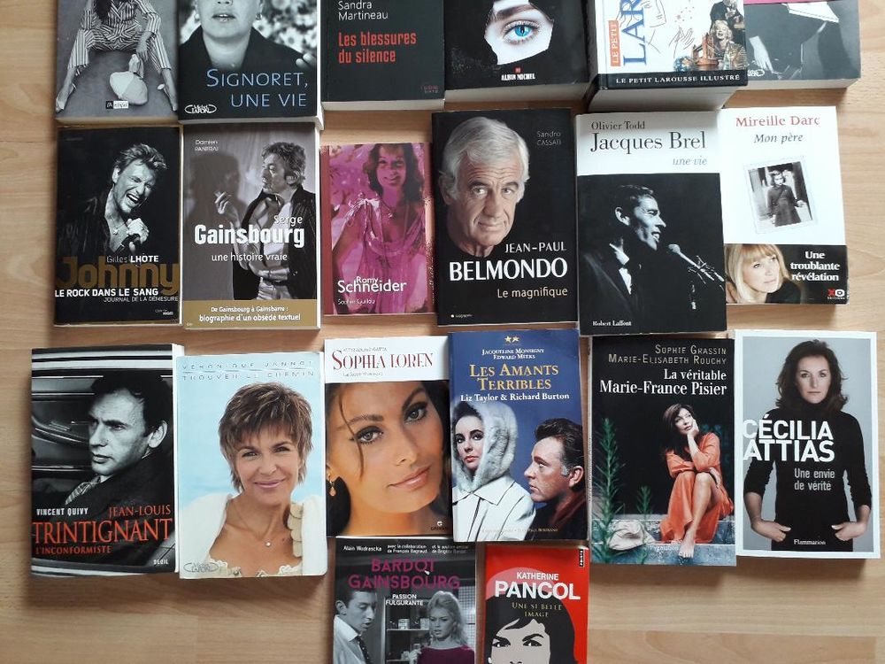 Livres dictionnaires et biographies Livres et BD
