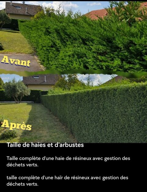 jardinier paysagiste 0 80250 Ailly-sur-noye