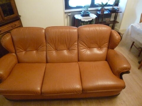 JOLI CANAPE CUIR A 3 PACES  . 200 Urbs (68)