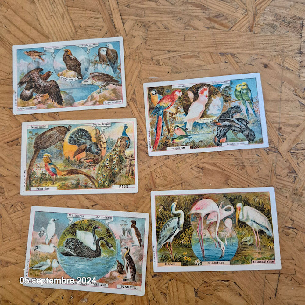 Lot de 5 images Leroux Bonzel sur les grands oiseaux 