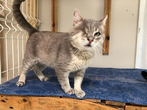 Owen 130 26700 Pierrelatte