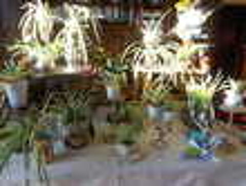Vide maison/d&eacute;barras. Vide grenier, marché aux puces, braderie
