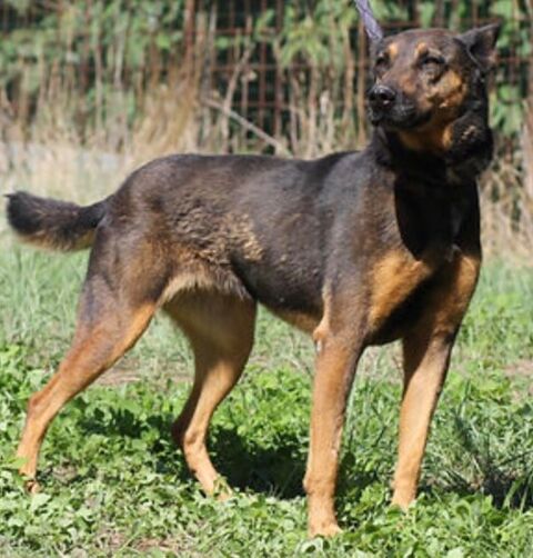 Pakita 26700 Pierrelatte