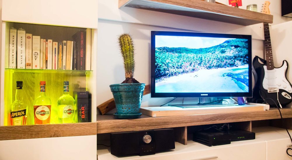 Magnifique cactus en poterie Artisanale Jardin