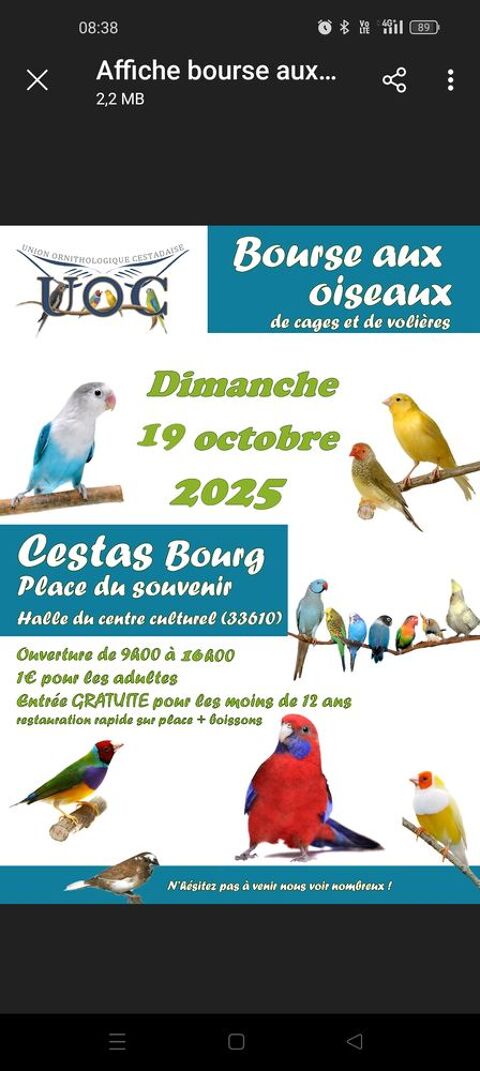 Bourse a oiseaux canari et autre à cestas Venez nombreux 0 33290 Blanquefort