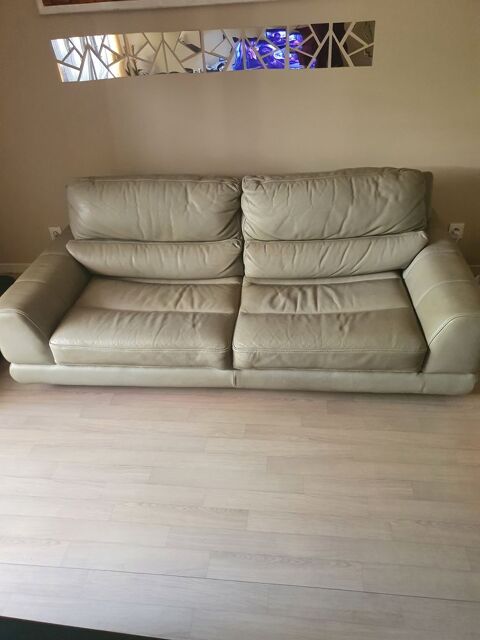 Canap en cuir 250 Vnissieux (69)