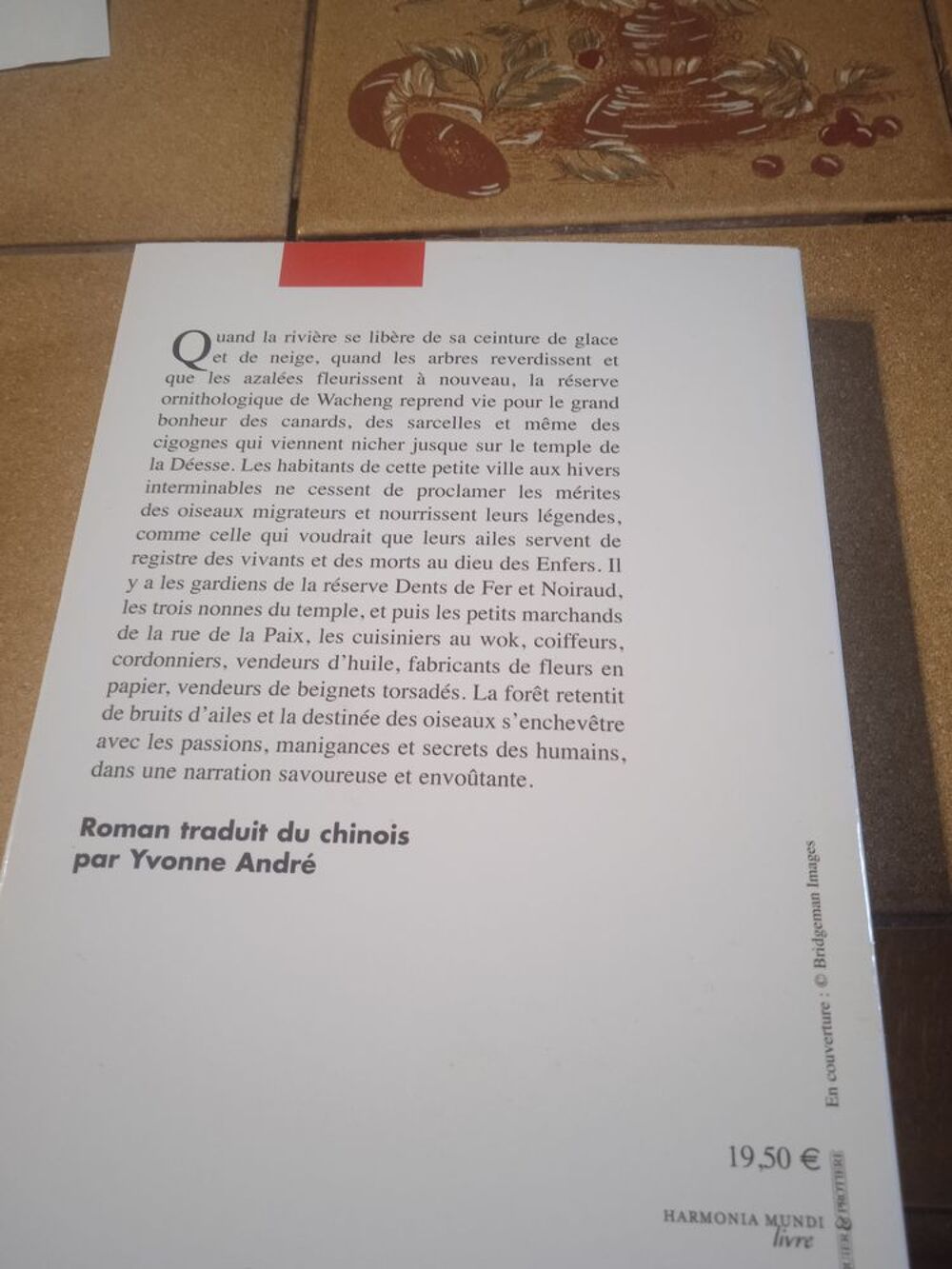 Le courage des oiseaux migrateurs Livres et BD