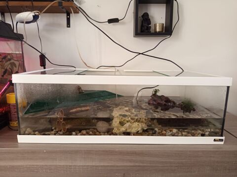 - aquarium avec les poissons 
- aquarium avec crevet 100 60240 Jouy-sous-thelle
