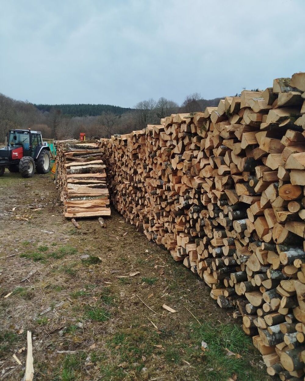 bois de chauffage Jardin
