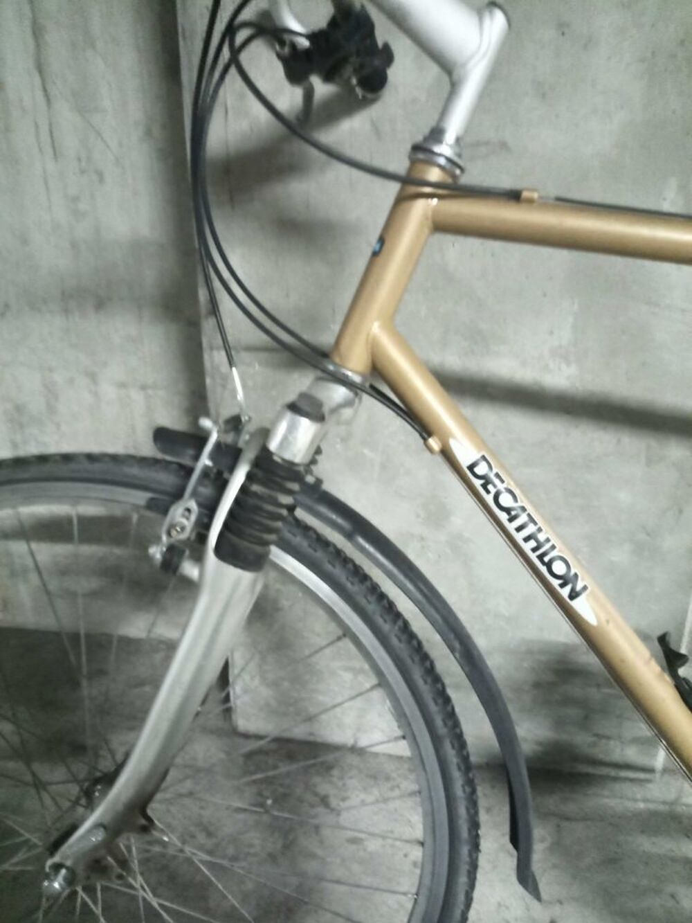 vtc Riverside 5.2 Vélos