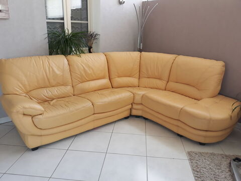 Canap d'angle cuir 450 Cosne-Cours-sur-Loire (58)