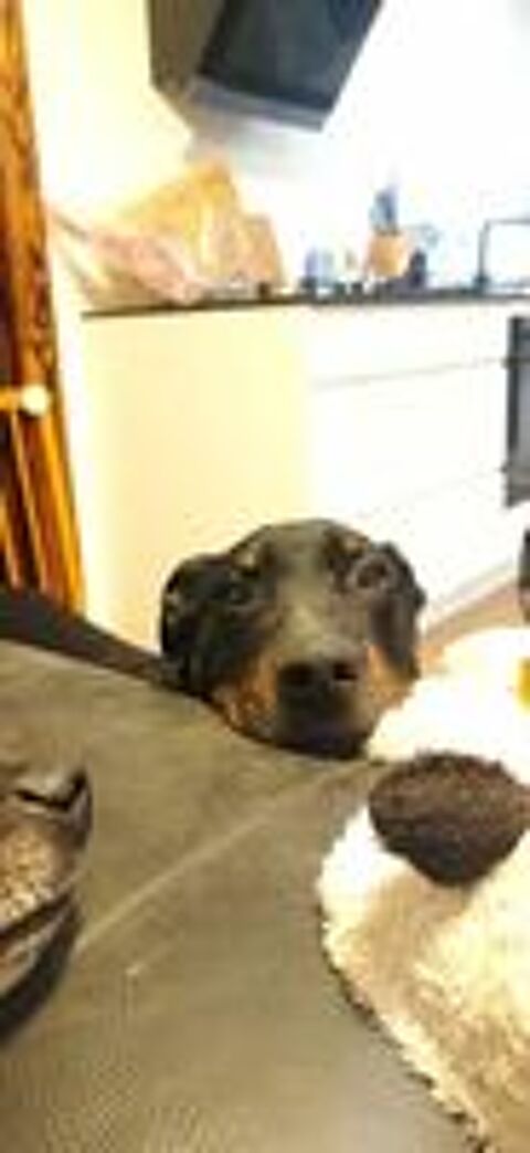   SAM 
