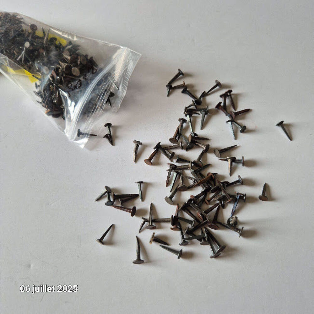 Semence pique tapissiers vendu en sachet de 230gr - disponib Bricolage