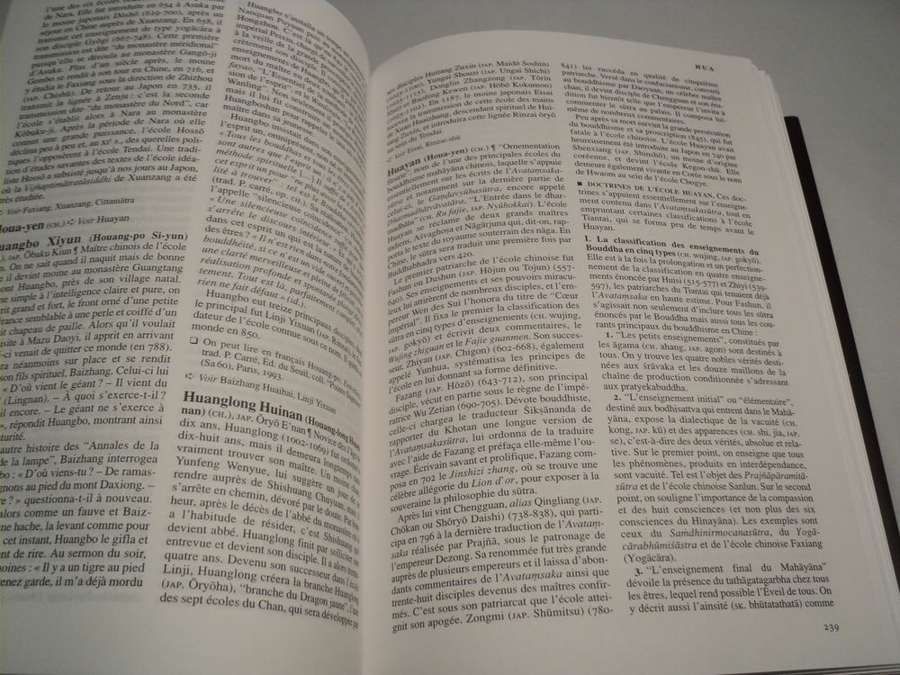 DICTIONNAIRE ENCYCLOP&Eacute;DIQUE DU BOUDDHISME
Livres et BD