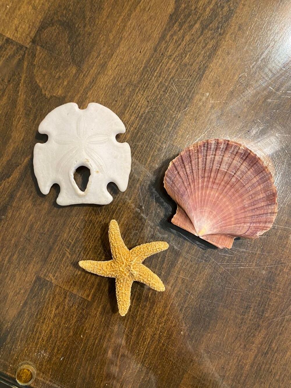 MAGNETS (stock &amp; aimants) Décoration