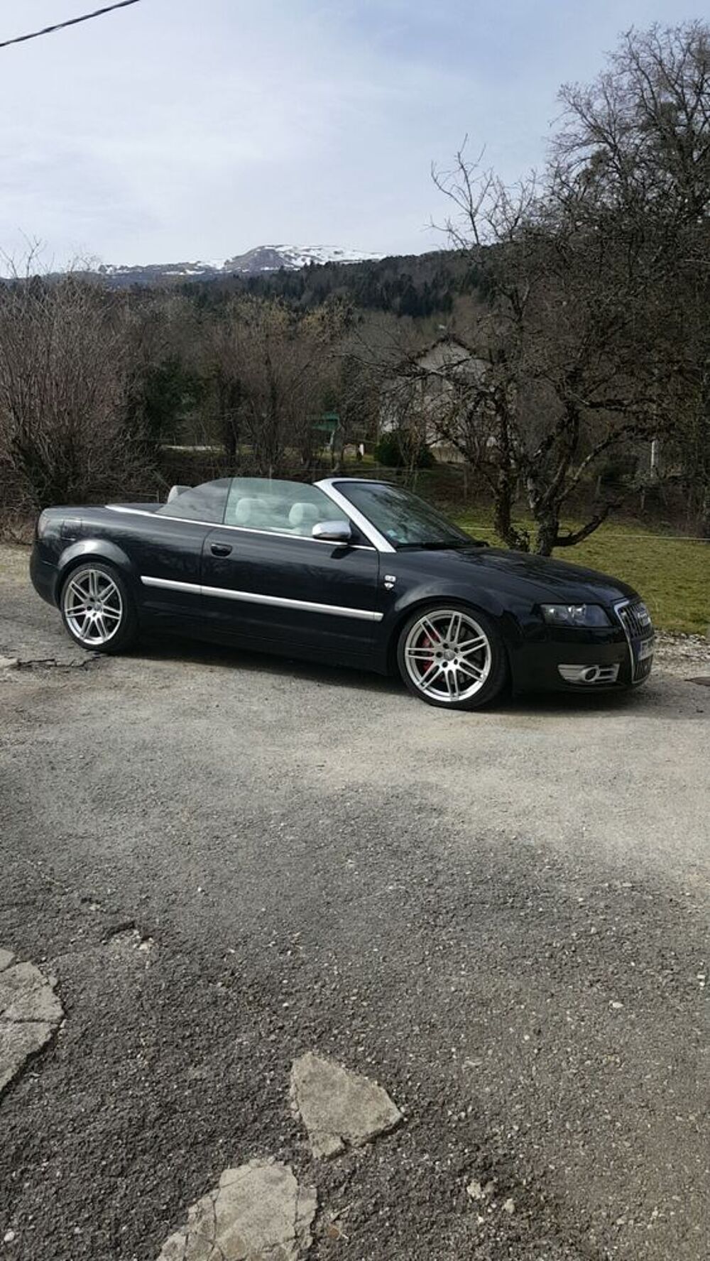 S4 Cabriolet 4.2 V8 344 Quattro Tiptronic A 2004 occasion 01170 Gex