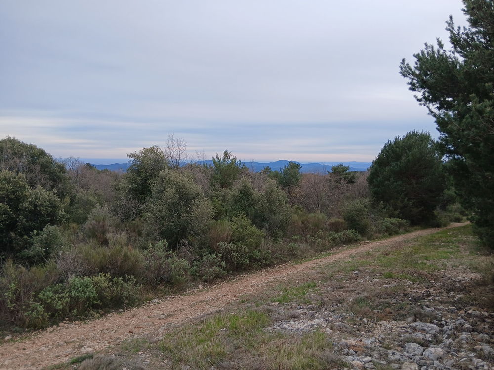 Vente Terrain Terrain non constructible 28 250 m² Saint-Vallier-de-Thier Saint-vallier-de-thiey
