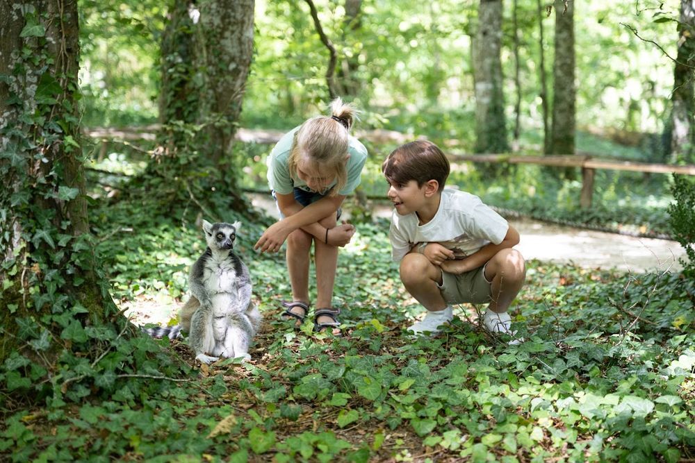 PASS 4 parcs Vall&eacute;e Singes Cormenier Parc Belle, D&eacute;fiPlanet' Billetterie