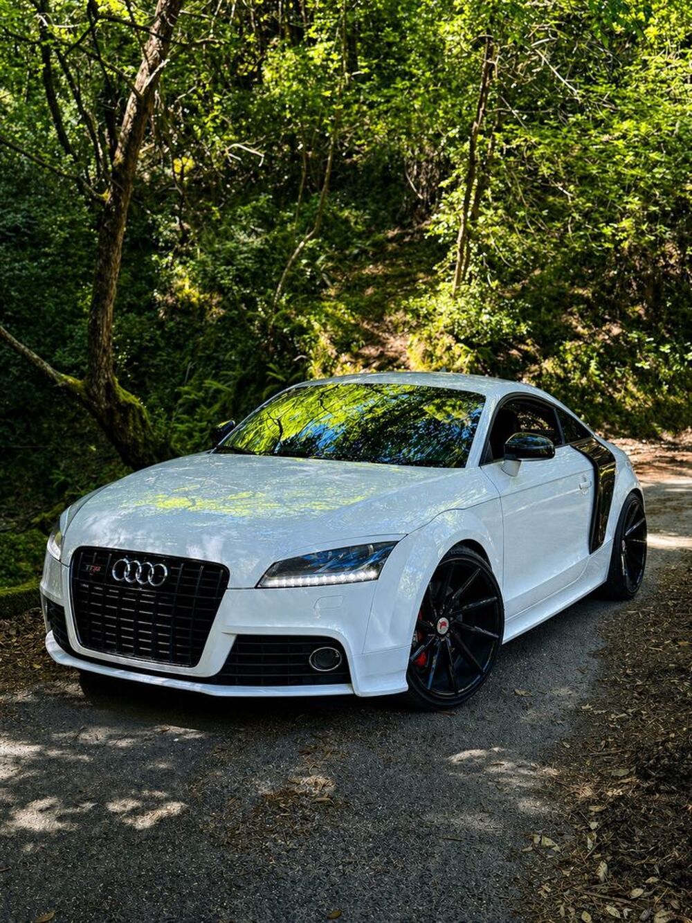 TT S TTS Coup&eacute; 2.0 TFSI 272 Quattro S-Tronic A 2010 occasion 20213 Penta-di-Casinca