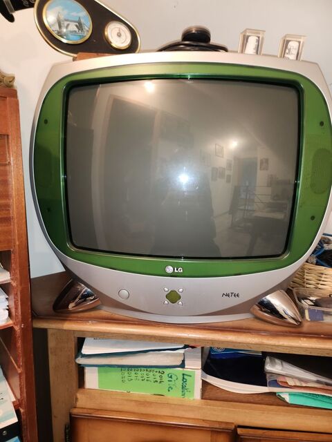 t�l�viseur NETEE 51 cm 40 Lanrodec (22)