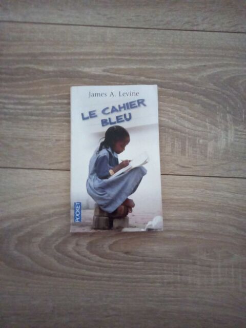 Livre  le cahier bleu  James A Lévine 2 Villiers (86)