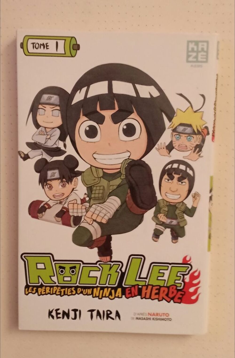 Manga rock lee 1 