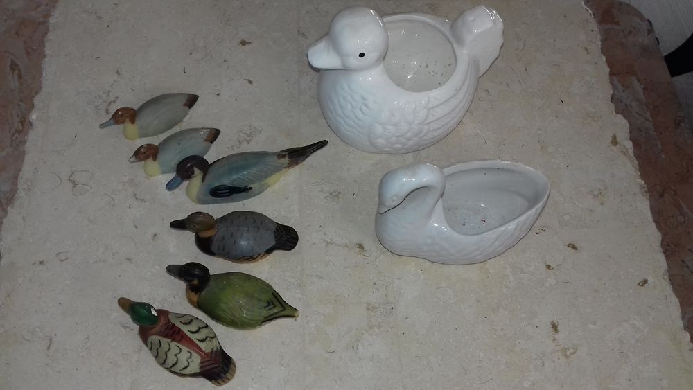 Ensemble de canards et cygnes Décoration