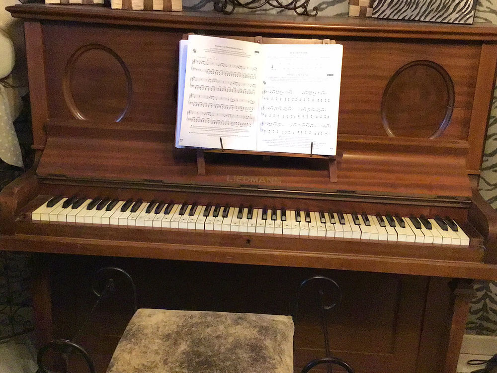 Piano liedmann Instruments de musique