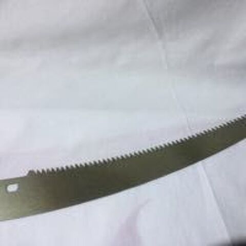 Lame de rechange pour scie perche  35 cm 15 Saint-Denis-en-Val (45)