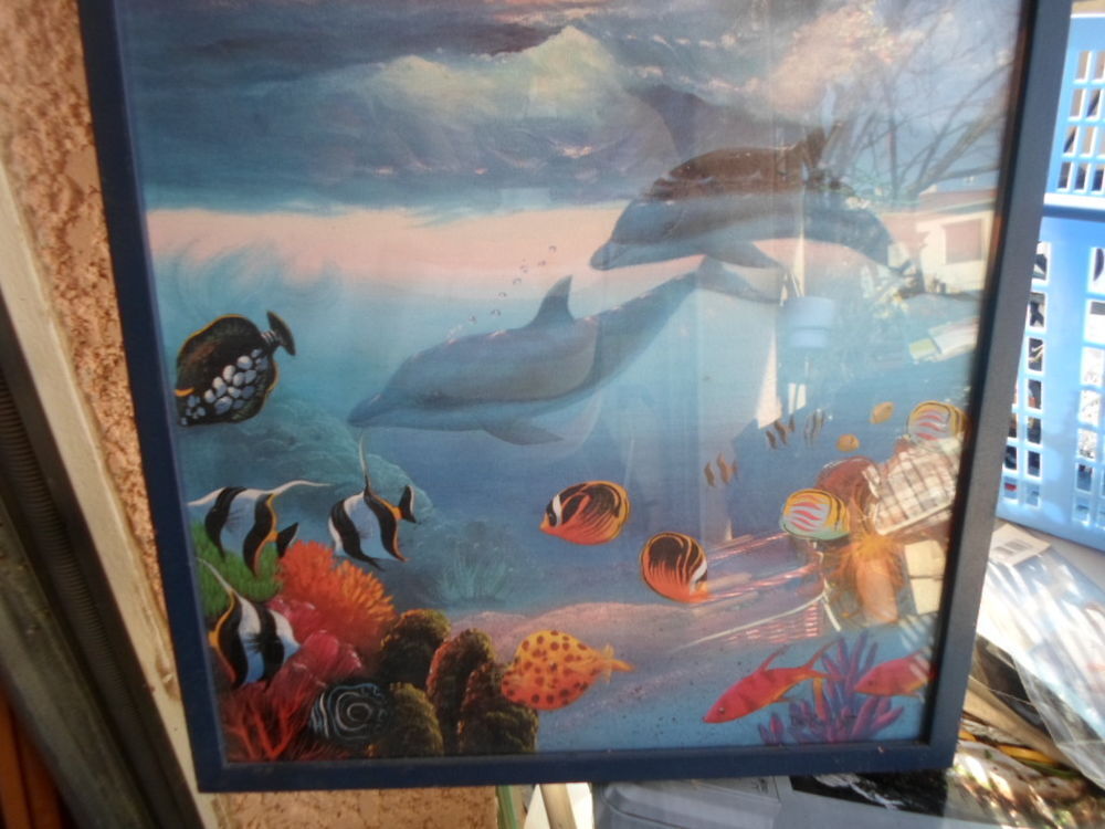 tableau dauphin 37x52 encadre sous verre Décoration