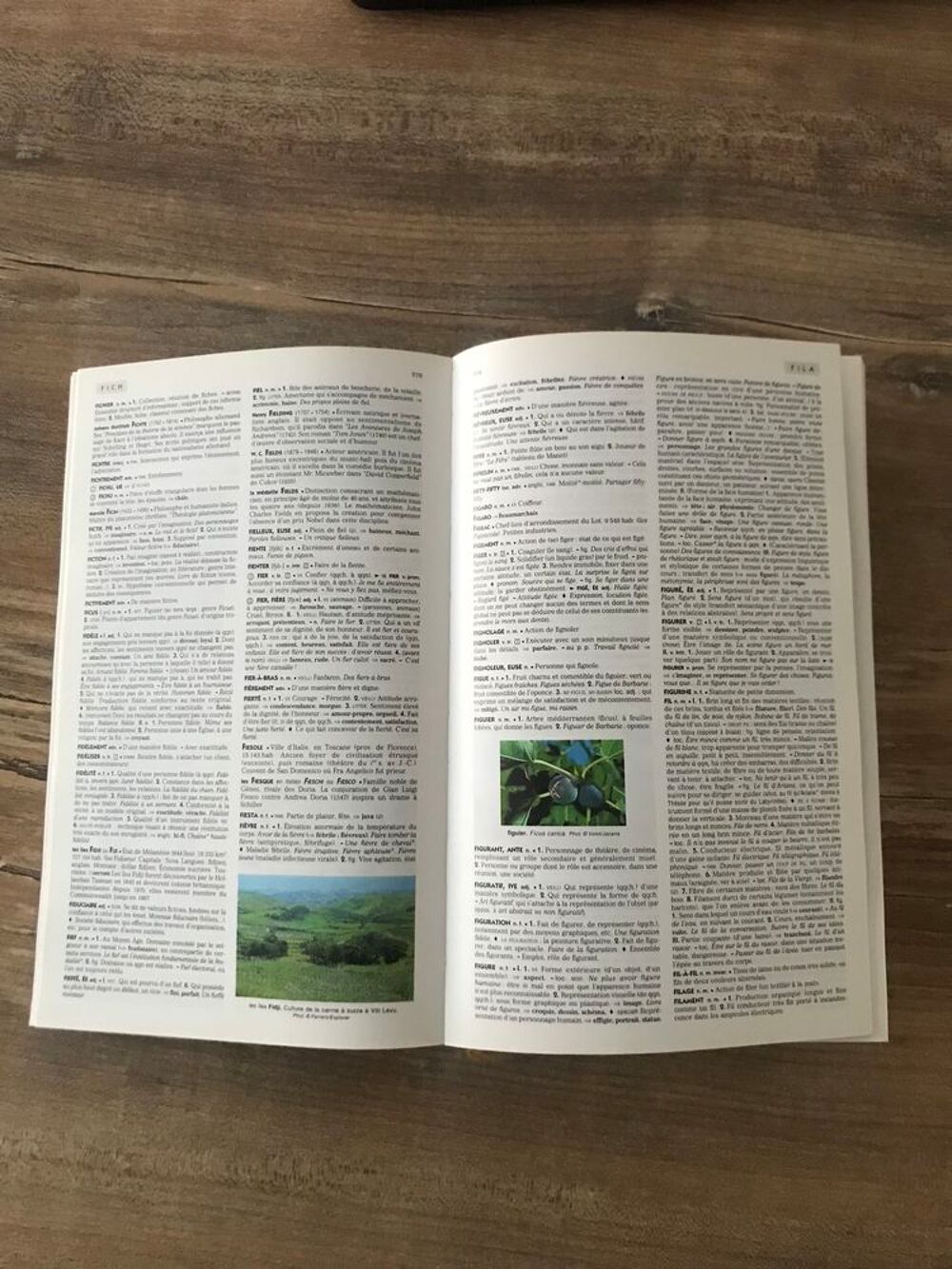 Livre Le robert " Illustr&eacute; d' aujourdhui en couleu Livres et BD