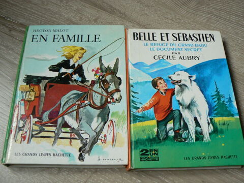 2 livres anciens En famille, Belle et Sbastien 8 Ingwiller (67)