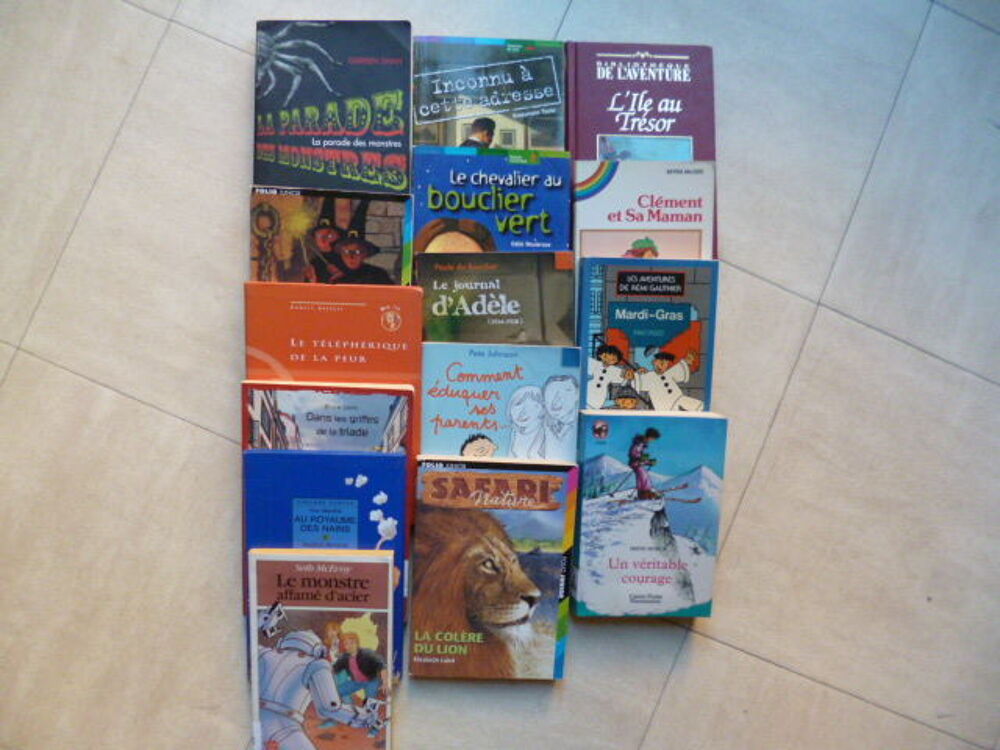 lot 1 romans pour JEUNES et ADO - zoe Livres et BD