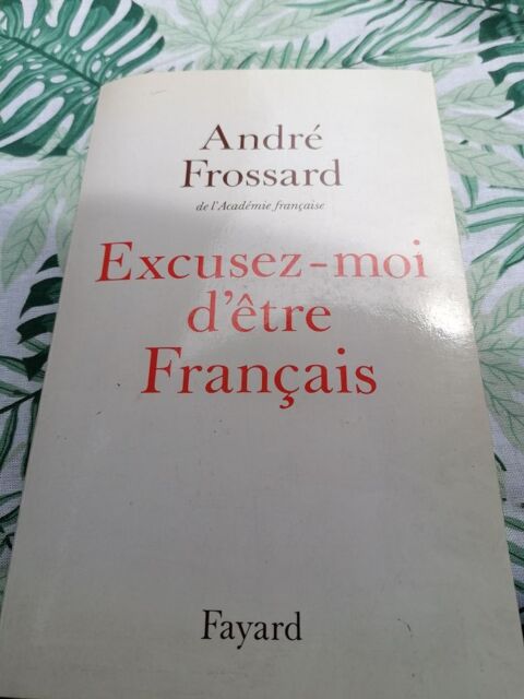 Andr Frossard excusez-moi d'tre franais 7 Lisieux (14)