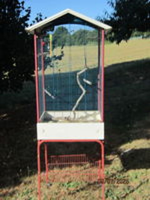   cage oiseaux 