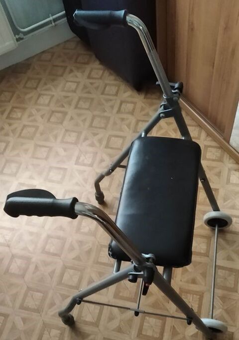 d�ambulateur, assise noire 15 Ervy-le-Ch�tel (10)