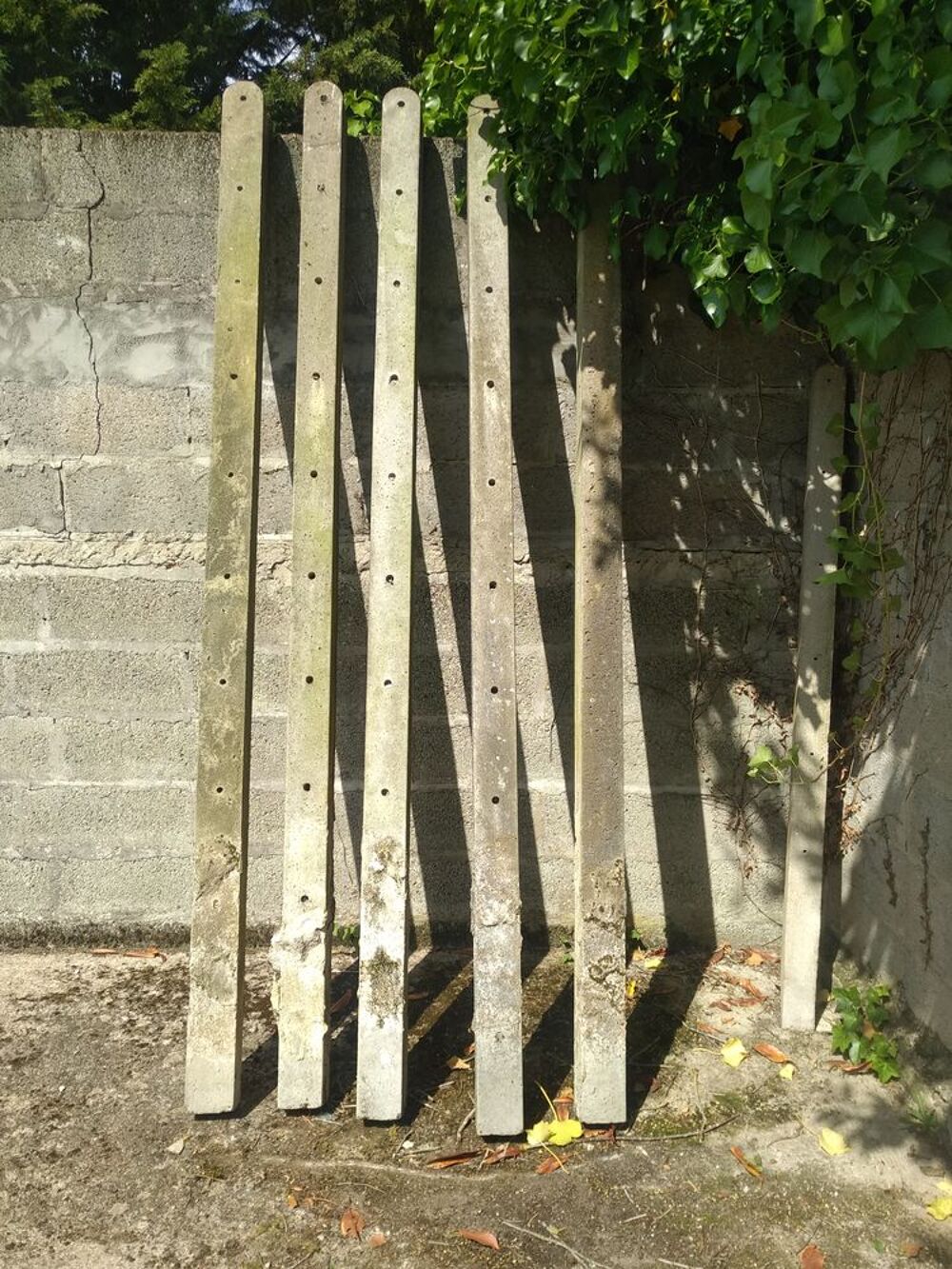 5 + 1 Poteaux de Cl&ouml;tures en B&eacute;ton
Jardin