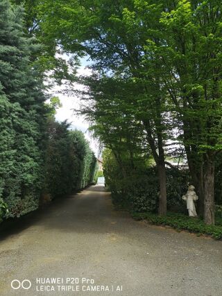  Villa � vendre 11 pi�ces 315 m�