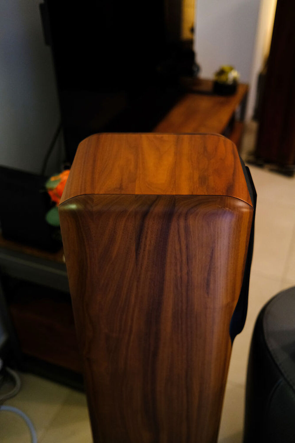 Sonus Faber Maxima Amator Audio et hifi