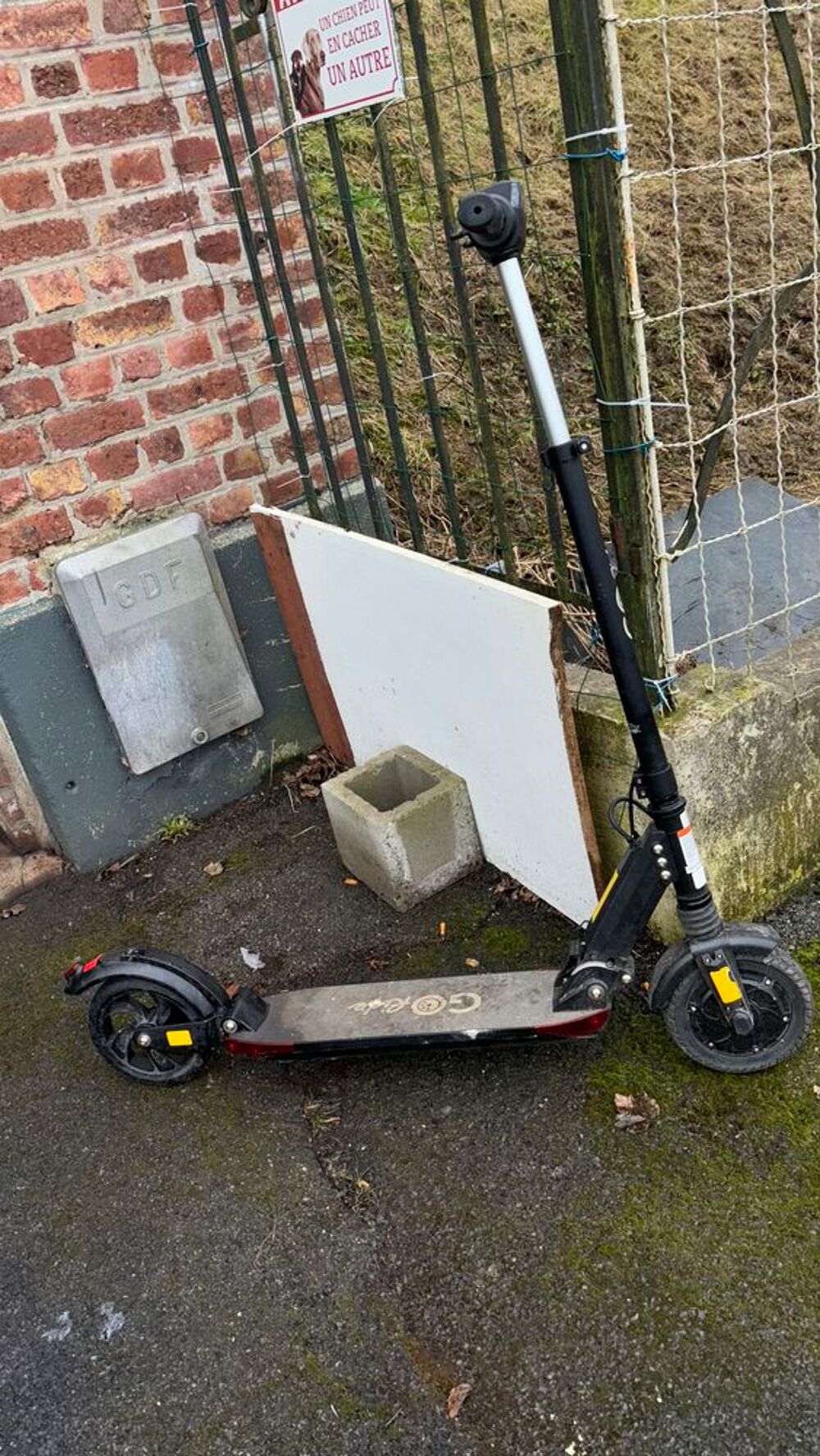 Trottinette &eacute;lectrique Sports
