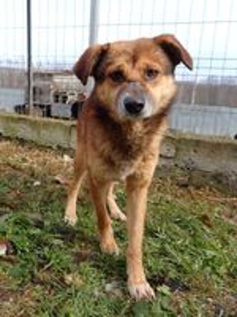   Sabayon à l'adoption 