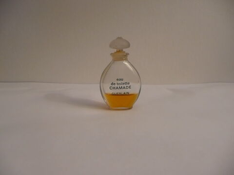 Miniature de parfum 7 Montmorency (95)