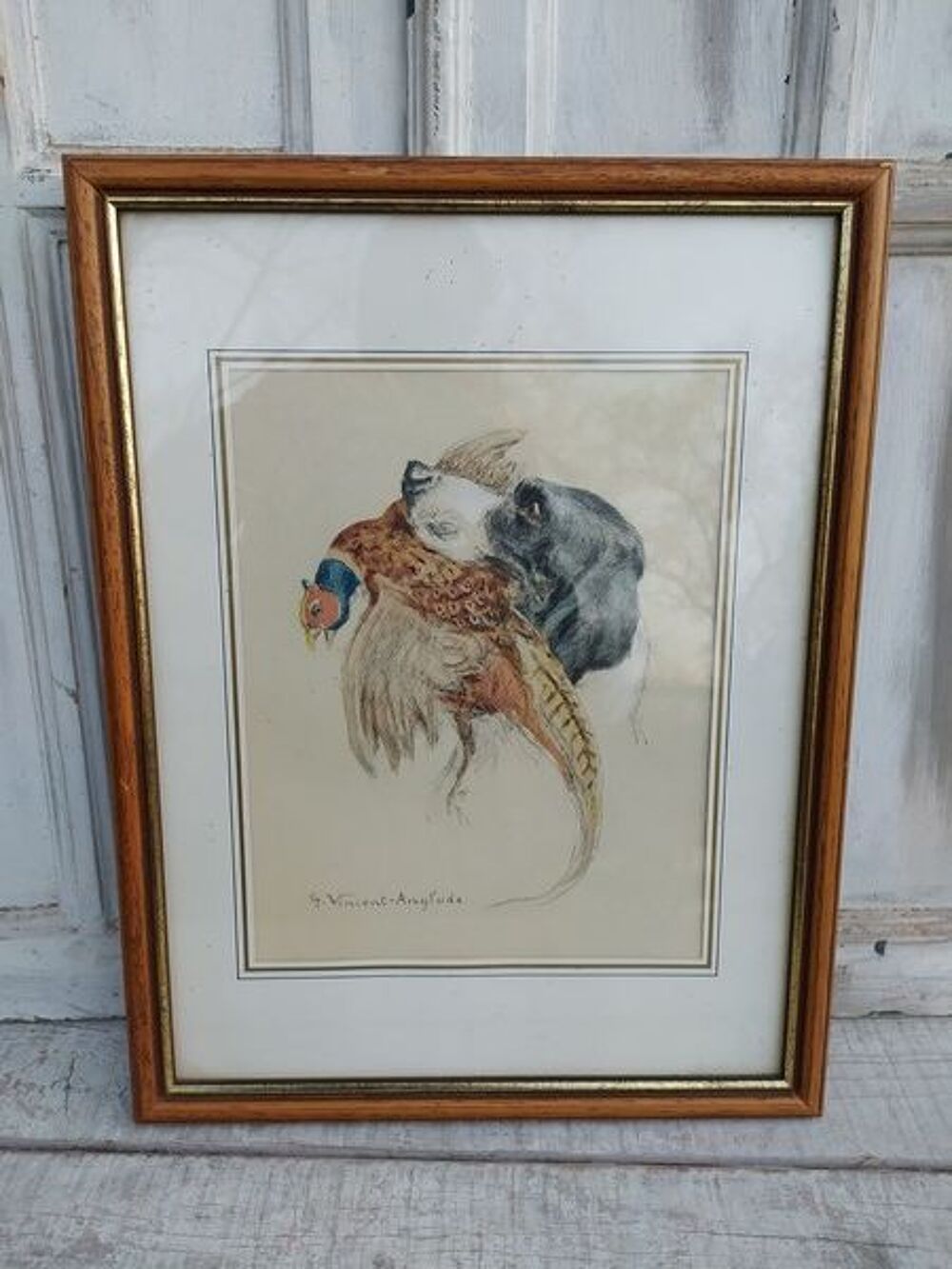 Tableau Lithographie Vincent-Anglade Chien &Eacute;pagneul Setter 