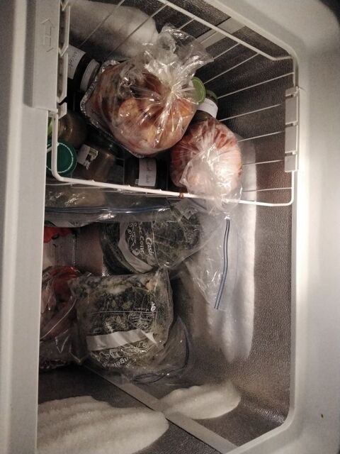 Cong�lateur 100 Sainte-H�l�ne-sur-Is�re (73)