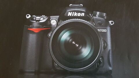 NIKON D7000 0 Bordeaux (33)