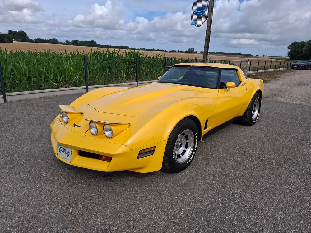Corvette Coup&eacute; 5.7 V8 A 1981 occasion 76190 &Eacute;cretteville-l&egrave;s-Baons